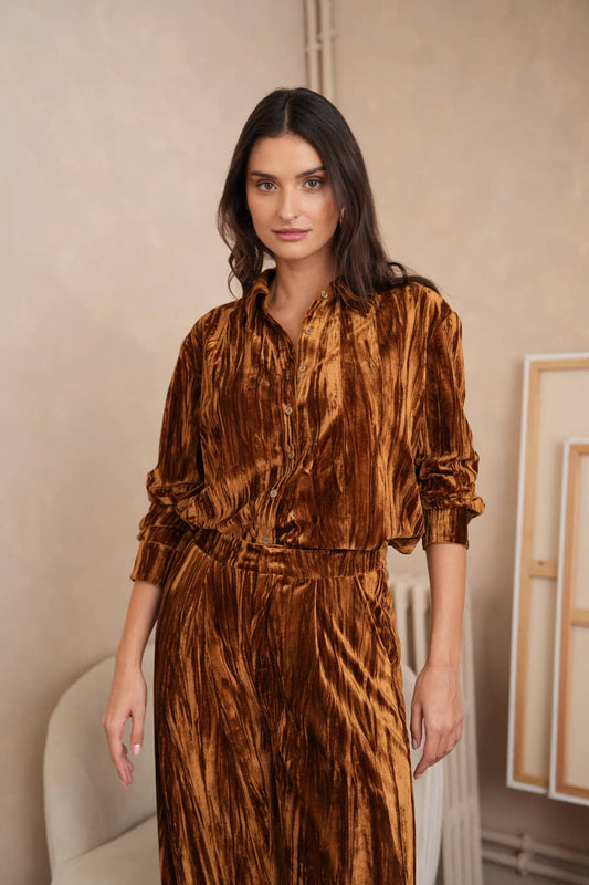 Danny crinkled velvet blouse