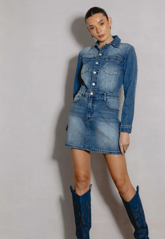 Carry on denim dress