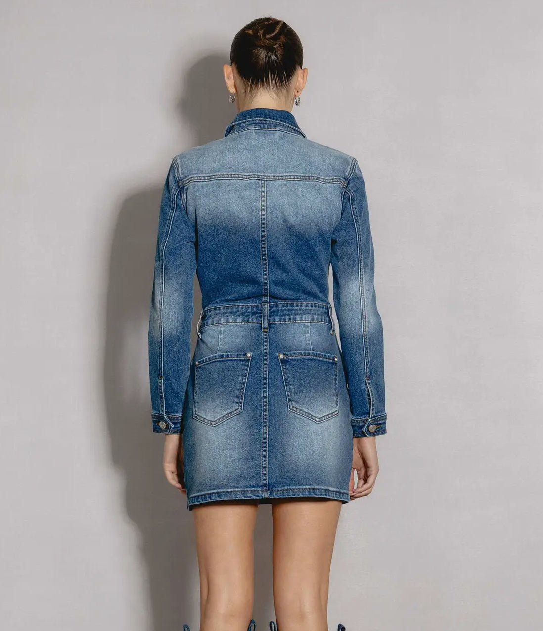 Carry on denim dress
