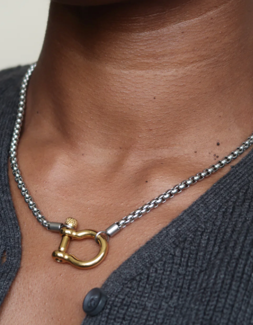 Carabiner horse Bit- Charm Chain  Two Tone