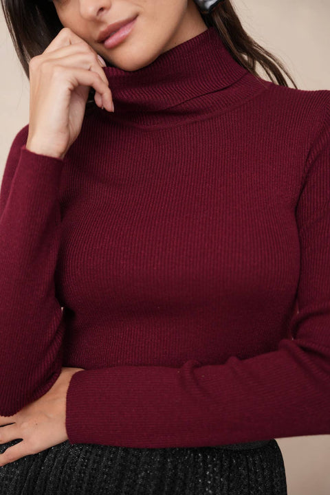 Bordeaux knit turtleneck