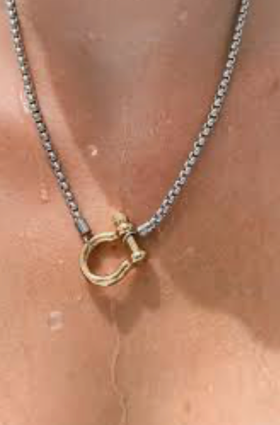 Carabiner horse Bit- Charm Chain  Two Tone